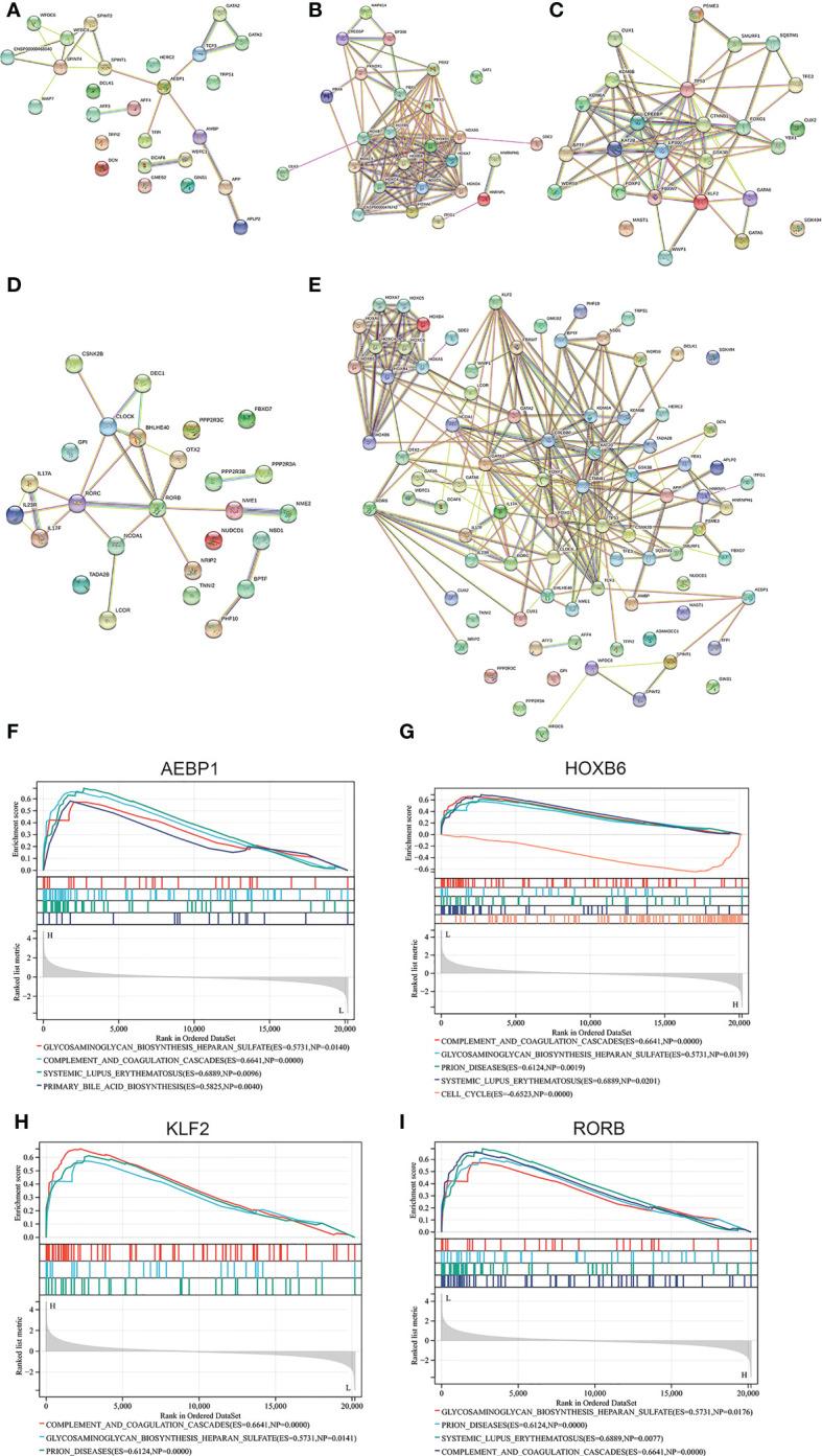https://cdn.ncbi.nlm.nih.gov/pmc/blobs/ace3/9748153/3b88be0b2ae9/fimmu-13-1037504-g008.jpg