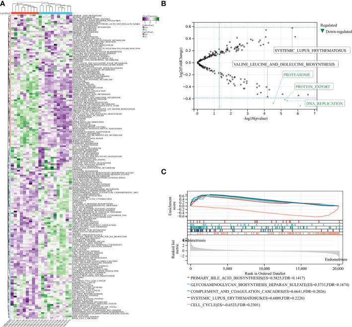 https://cdn.ncbi.nlm.nih.gov/pmc/blobs/ace3/9748153/8c0a79e4e0a0/fimmu-13-1037504-g001.jpg