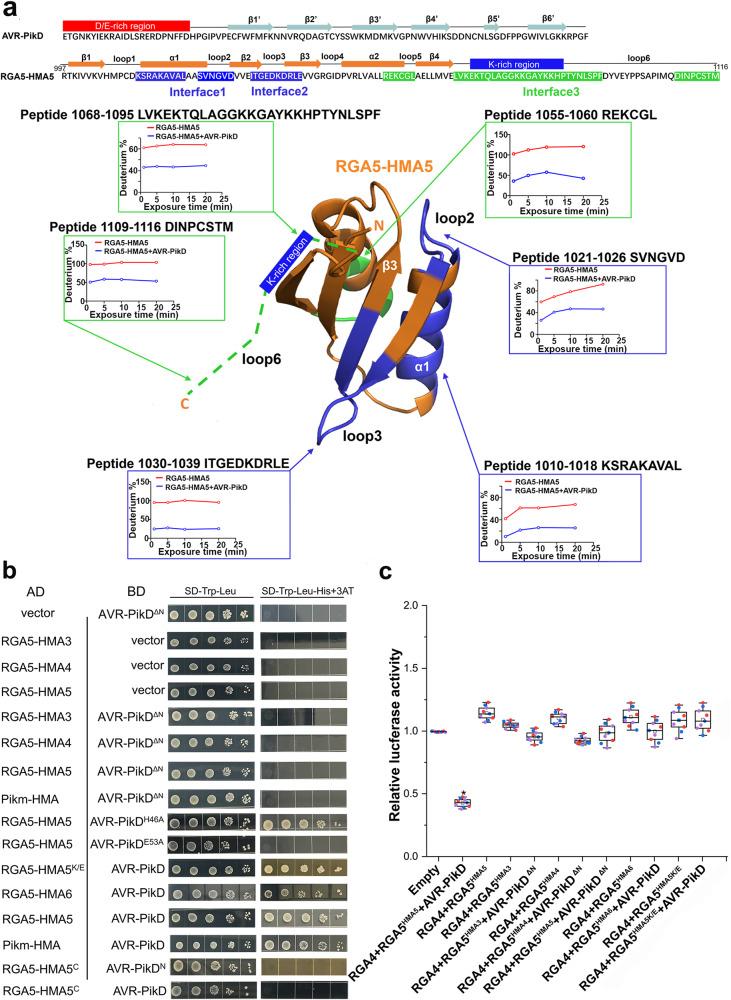 https://cdn.ncbi.nlm.nih.gov/pmc/blobs/ace4/10847126/ad402afca846/41467_2024_45380_Fig5_HTML.jpg