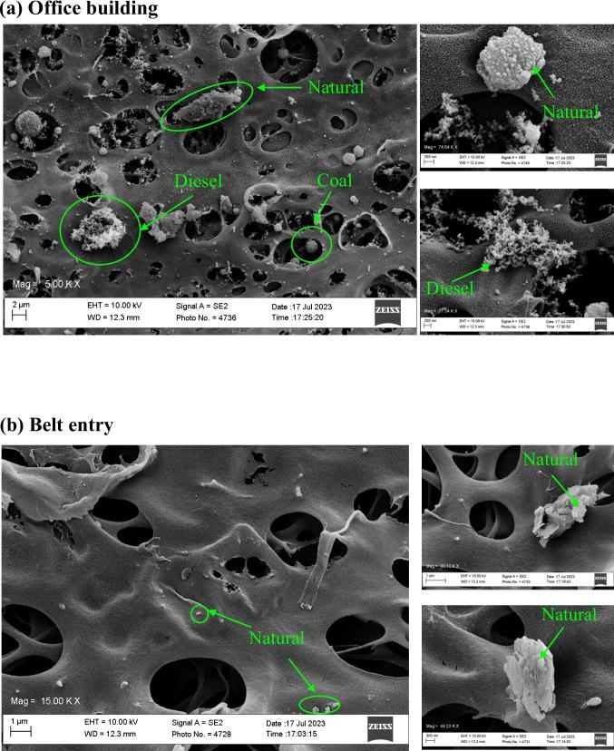 https://cdn.ncbi.nlm.nih.gov/pmc/blobs/ace4/11663185/5bb55ba3b431/42461_2024_1140_Fig6a_HTML.jpg