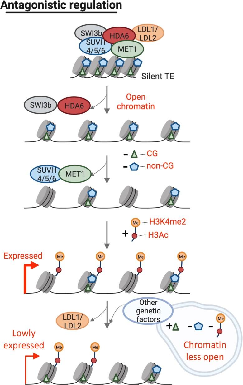 https://cdn.ncbi.nlm.nih.gov/pmc/blobs/ace5/11531835/d4d18ce120fb/kiae392f7.jpg
