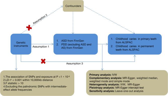 https://cdn.ncbi.nlm.nih.gov/pmc/blobs/ace5/12220140/dca8da0210fd/12887_2025_5839_Fig1_HTML.jpg