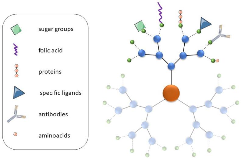 https://cdn.ncbi.nlm.nih.gov/pmc/blobs/ace6/11053723/e61508f06e04/pharmaceutics-16-00439-g005.jpg