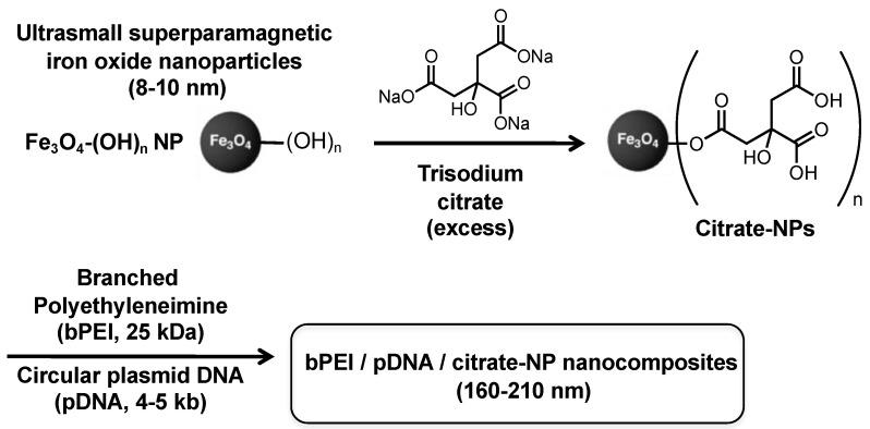 https://cdn.ncbi.nlm.nih.gov/pmc/blobs/ace6/8309231/5b273451c11e/polymers-13-02228-sch001.jpg