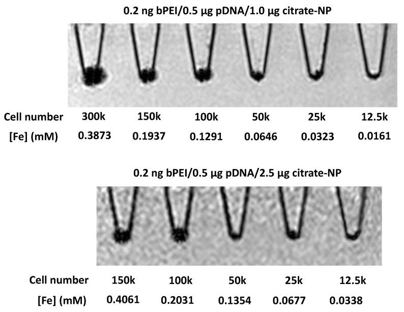 https://cdn.ncbi.nlm.nih.gov/pmc/blobs/ace6/8309231/70196b990868/polymers-13-02228-g002.jpg