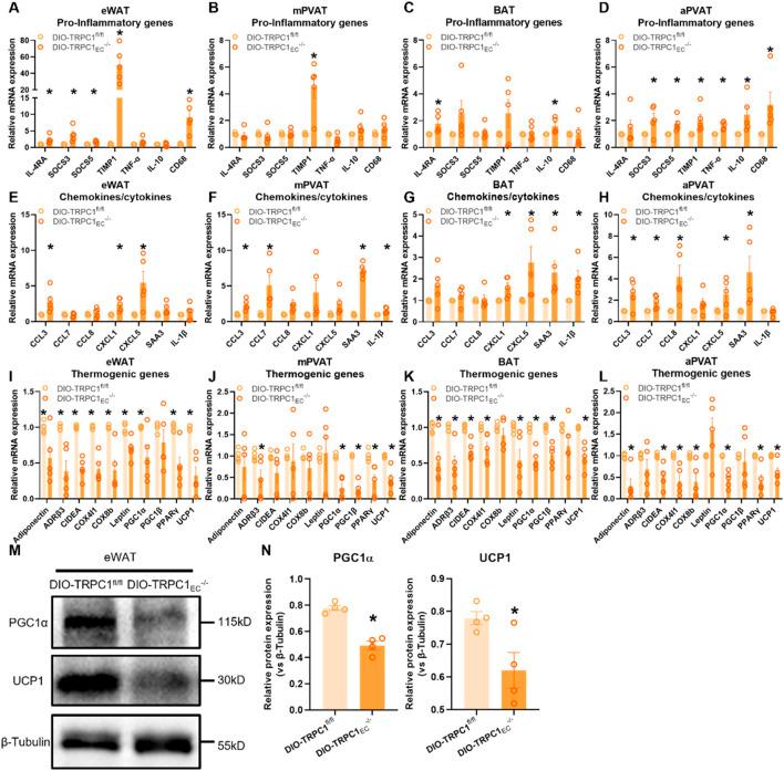https://cdn.ncbi.nlm.nih.gov/pmc/blobs/ace7/12187605/15ed45c07cdb/fmolb-12-1619559-g003.jpg