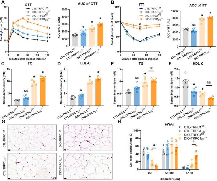 https://cdn.ncbi.nlm.nih.gov/pmc/blobs/ace7/12187605/6d54d6a3a973/fmolb-12-1619559-g002.jpg