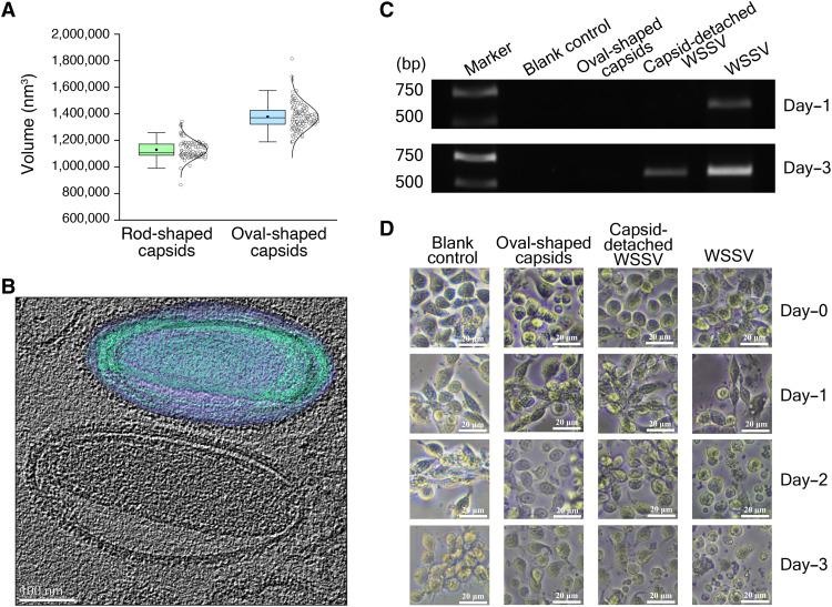 https://cdn.ncbi.nlm.nih.gov/pmc/blobs/ace7/9946344/4ca1f8038cee/sciadv.add2796-f6.jpg