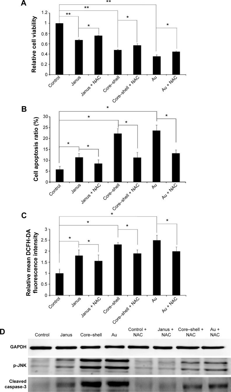 https://cdn.ncbi.nlm.nih.gov/pmc/blobs/ace8/4598223/ac583c8e53d0/ijn-10-6075Fig6.jpg