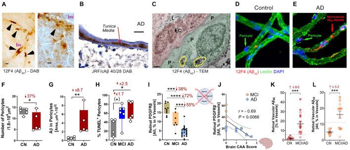 https://cdn.ncbi.nlm.nih.gov/pmc/blobs/ace8/8493243/323a41f2541a/fnins-15-731614-g001.jpg