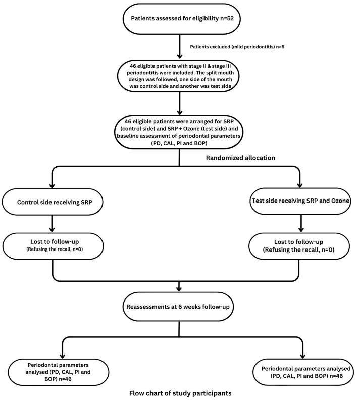 https://cdn.ncbi.nlm.nih.gov/pmc/blobs/ace9/10672703/dc380e2ae512/jcm-12-07078-g001.jpg