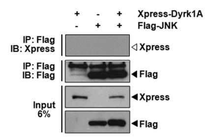 https://cdn.ncbi.nlm.nih.gov/pmc/blobs/acea/3213740/6e08a99b3b64/en-20-35-g003.jpg