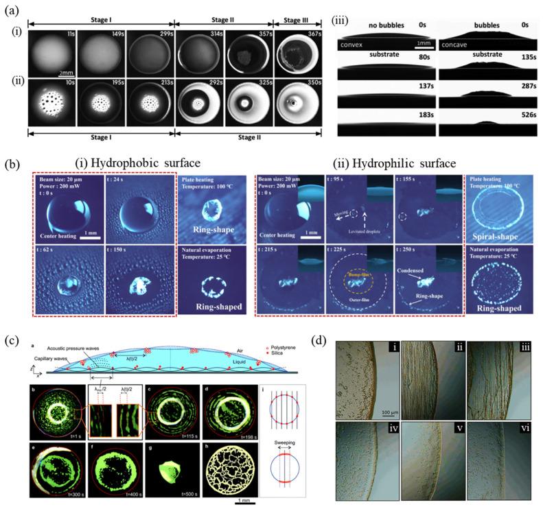 https://cdn.ncbi.nlm.nih.gov/pmc/blobs/acea/9370329/169bdd24859e/nanomaterials-12-02600-g006.jpg