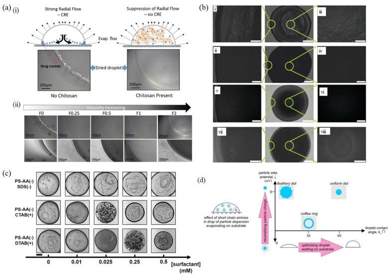 https://cdn.ncbi.nlm.nih.gov/pmc/blobs/acea/9370329/23e8d50be70d/nanomaterials-12-02600-g002.jpg