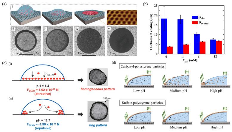 https://cdn.ncbi.nlm.nih.gov/pmc/blobs/acea/9370329/2879513cd6a5/nanomaterials-12-02600-g003.jpg