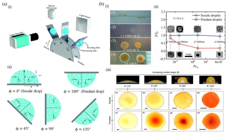 https://cdn.ncbi.nlm.nih.gov/pmc/blobs/acea/9370329/4a99619bee5e/nanomaterials-12-02600-g007.jpg