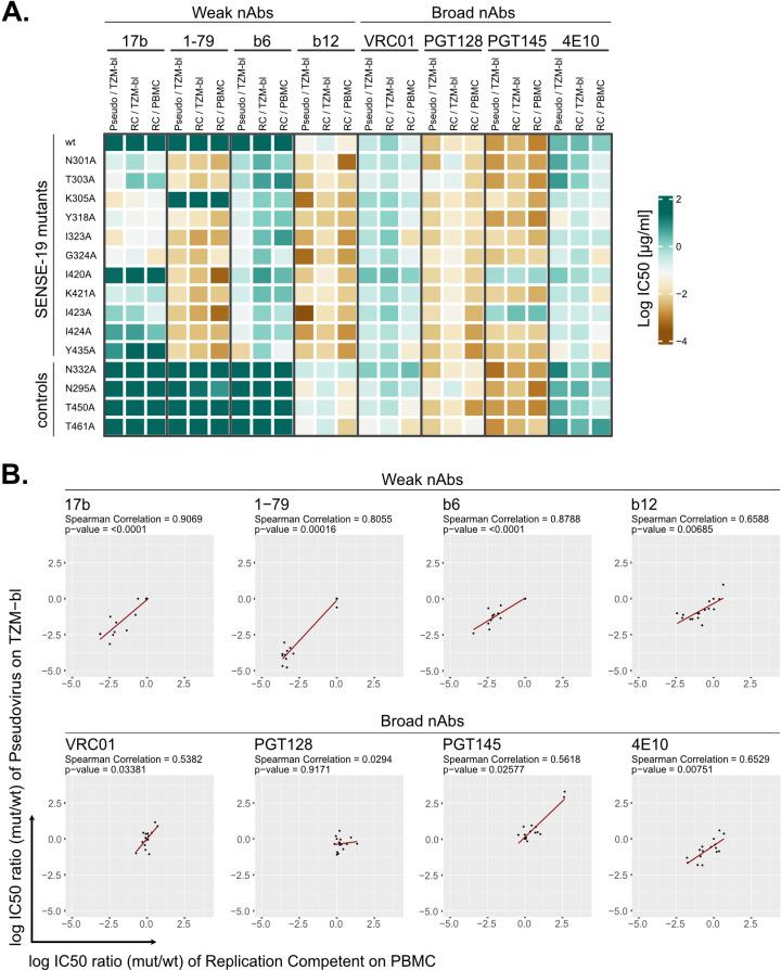 https://cdn.ncbi.nlm.nih.gov/pmc/blobs/aced/11774494/17b507cb008d/ppat.1012825.g006.jpg