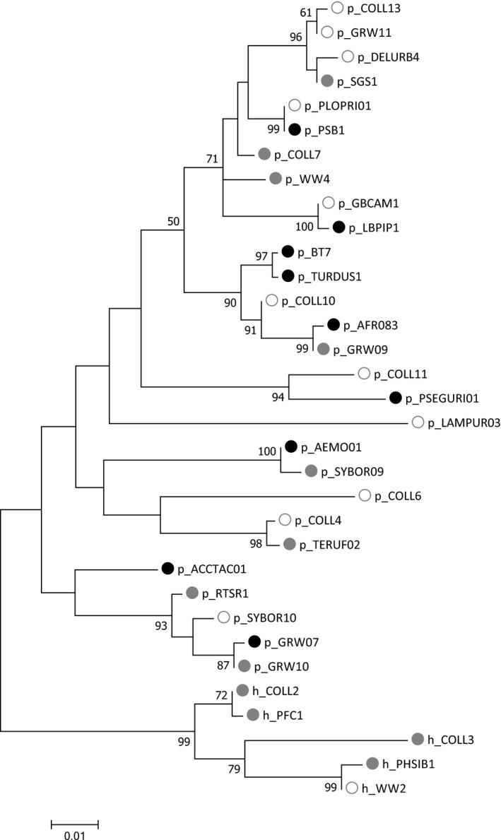 https://cdn.ncbi.nlm.nih.gov/pmc/blobs/acf0/6303764/27d6a4ec5b7c/ECE3-8-12183-g002.jpg