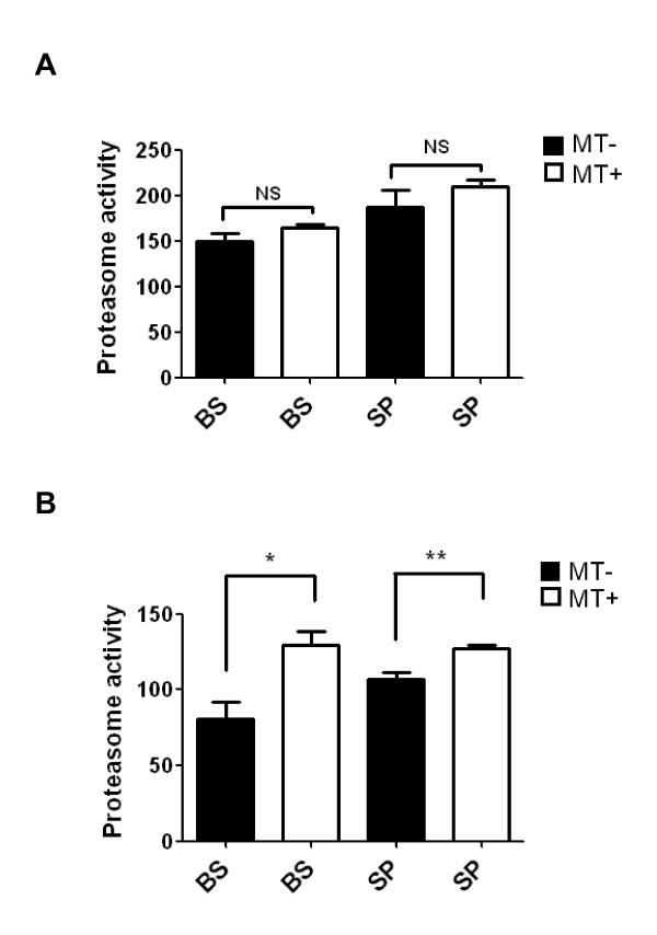 https://cdn.ncbi.nlm.nih.gov/pmc/blobs/acf1/3142224/281e4d8bd461/1742-2094-8-69-6.jpg