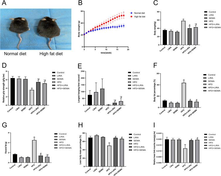 https://cdn.ncbi.nlm.nih.gov/pmc/blobs/acf3/10439806/599ed7148ecf/DMSO-16-2433-g0001.jpg