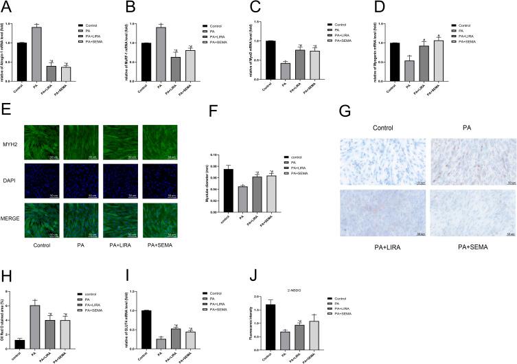 https://cdn.ncbi.nlm.nih.gov/pmc/blobs/acf3/10439806/8ef0c4a98826/DMSO-16-2433-g0004.jpg