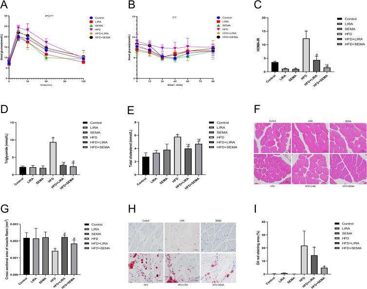 https://cdn.ncbi.nlm.nih.gov/pmc/blobs/acf3/10439806/c250d9efcc17/DMSO-16-2433-g0002.jpg