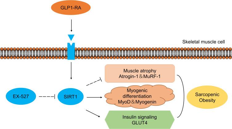 https://cdn.ncbi.nlm.nih.gov/pmc/blobs/acf3/10439806/dc9510ee4c43/DMSO-16-2433-g0006.jpg