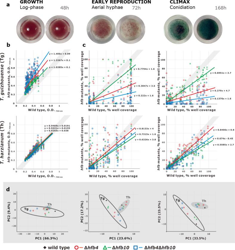 https://cdn.ncbi.nlm.nih.gov/pmc/blobs/acf5/7490268/49fd1725de00/41396_2020_709_Fig5_HTML.jpg