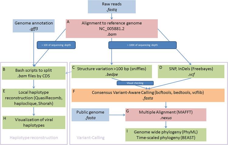 https://cdn.ncbi.nlm.nih.gov/pmc/blobs/acf5/8313985/4a090e521417/fmicb-12-711377-g001.jpg