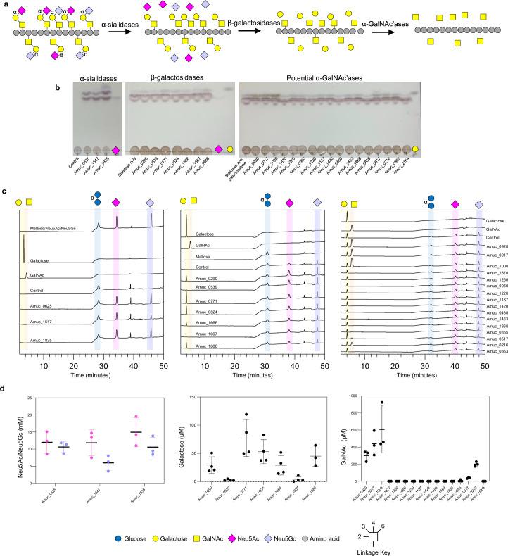 https://cdn.ncbi.nlm.nih.gov/pmc/blobs/acf6/11790493/12abd5bb9f44/41564_2024_1911_Fig11_ESM.jpg