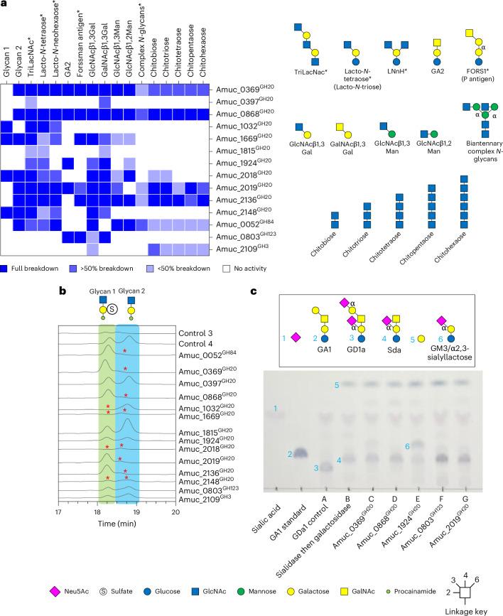 https://cdn.ncbi.nlm.nih.gov/pmc/blobs/acf6/11790493/1c313ef7462d/41564_2024_1911_Fig4_HTML.jpg