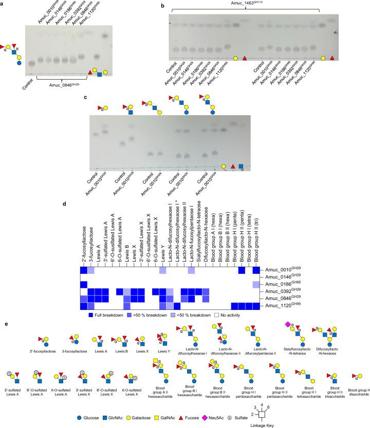 https://cdn.ncbi.nlm.nih.gov/pmc/blobs/acf6/11790493/721e46c00d6f/41564_2024_1911_Fig14_ESM.jpg