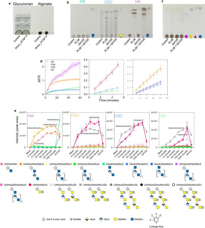 https://cdn.ncbi.nlm.nih.gov/pmc/blobs/acf6/11790493/d90f1d4432b5/41564_2024_1911_Fig16_ESM.jpg