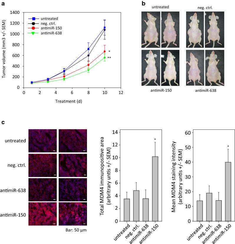 https://cdn.ncbi.nlm.nih.gov/pmc/blobs/acf6/7685669/4f3996ecd7d1/12951_2020_728_Fig5_HTML.jpg