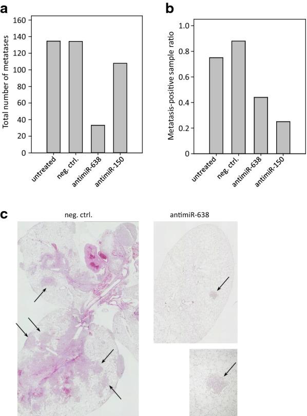 https://cdn.ncbi.nlm.nih.gov/pmc/blobs/acf6/7685669/4f7bc995df12/12951_2020_728_Fig6_HTML.jpg