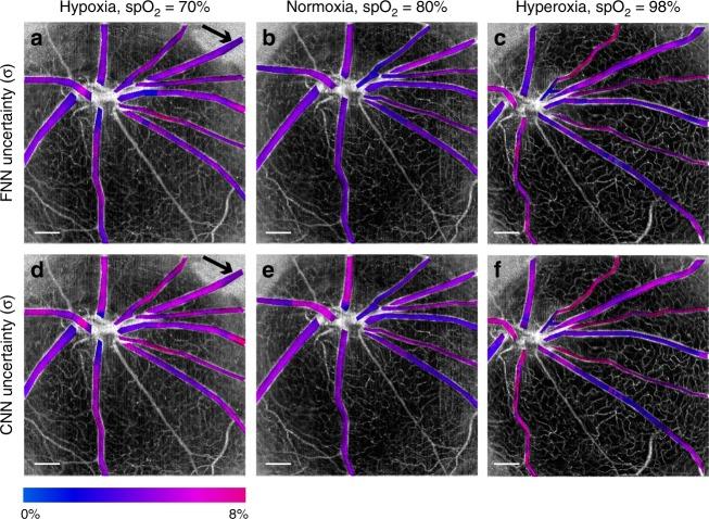 https://cdn.ncbi.nlm.nih.gov/pmc/blobs/acf8/6864044/1b25026db6d0/41377_2019_216_Fig7_HTML.jpg
