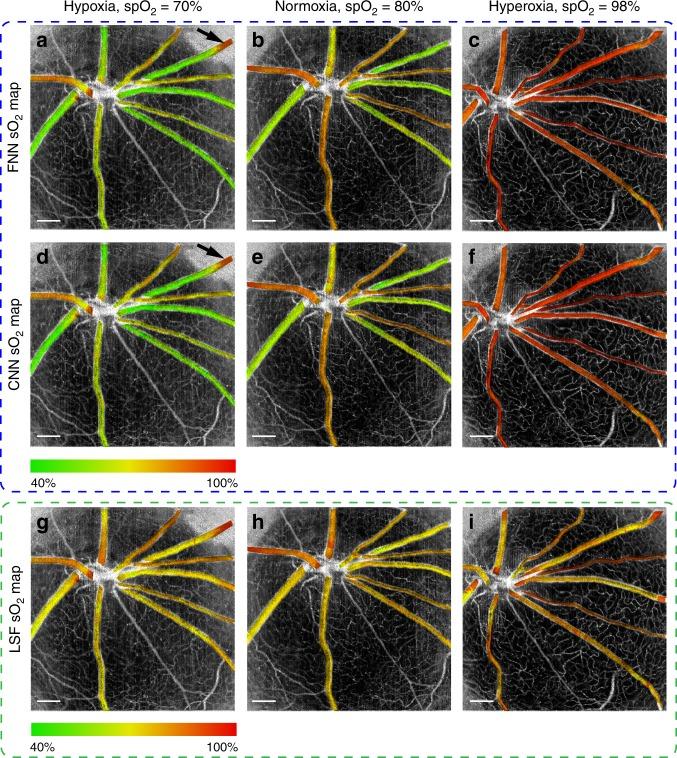 https://cdn.ncbi.nlm.nih.gov/pmc/blobs/acf8/6864044/3018497b06a4/41377_2019_216_Fig6_HTML.jpg