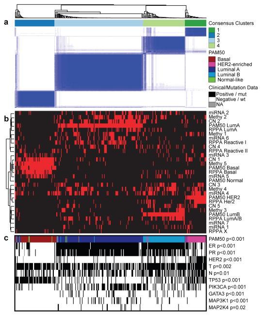 https://cdn.ncbi.nlm.nih.gov/pmc/blobs/acf9/3465532/025a8d485283/nihms393293f2.jpg