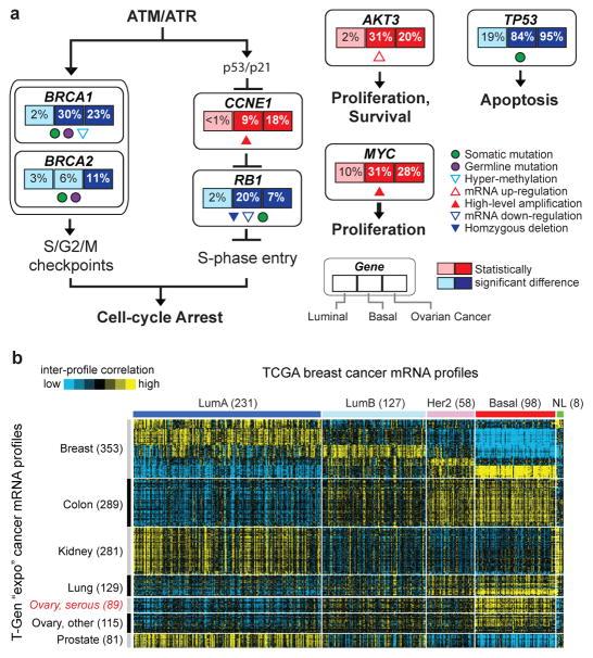 https://cdn.ncbi.nlm.nih.gov/pmc/blobs/acf9/3465532/1c70cf063f99/nihms393293f5.jpg