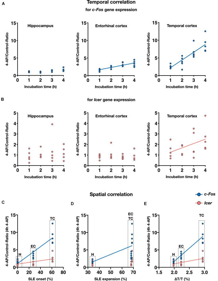 https://cdn.ncbi.nlm.nih.gov/pmc/blobs/acf9/8042243/85bad5668a77/fnmol-14-643763-g006.jpg
