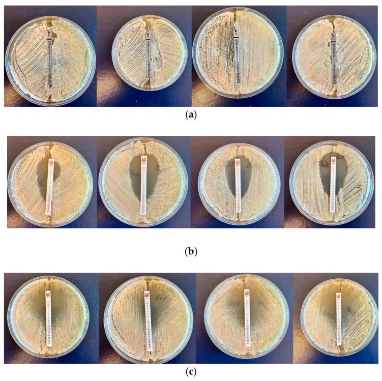 https://cdn.ncbi.nlm.nih.gov/pmc/blobs/acfb/12029497/a52766a91f7d/molecules-30-01675-g001a.jpg
