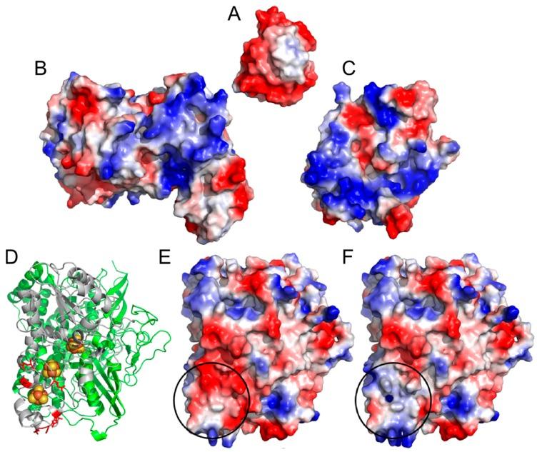 https://cdn.ncbi.nlm.nih.gov/pmc/blobs/acfb/4307346/244071c66029/ijms-16-02020-g001.jpg