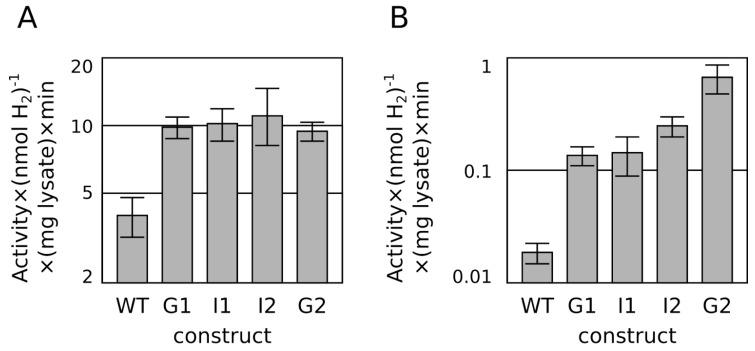https://cdn.ncbi.nlm.nih.gov/pmc/blobs/acfb/4307346/dd0808712d5c/ijms-16-02020-g002.jpg