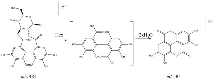 https://cdn.ncbi.nlm.nih.gov/pmc/blobs/acfc/8540058/2dbb097ac61e/molecules-26-06229-g004.jpg
