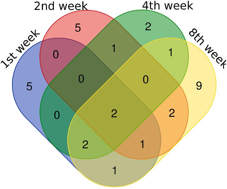 https://cdn.ncbi.nlm.nih.gov/pmc/blobs/acfe/11336616/00cf26a0aee2/gr4.jpg
