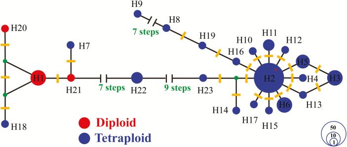 https://cdn.ncbi.nlm.nih.gov/pmc/blobs/ad01/5941139/30600270b6fa/ply02604.jpg