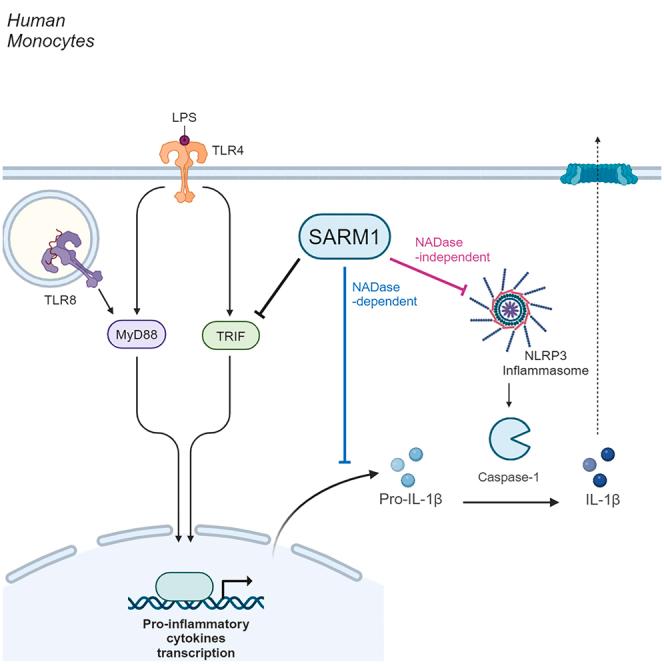 https://cdn.ncbi.nlm.nih.gov/pmc/blobs/ad02/11145347/64b58b84a11b/fx1.jpg