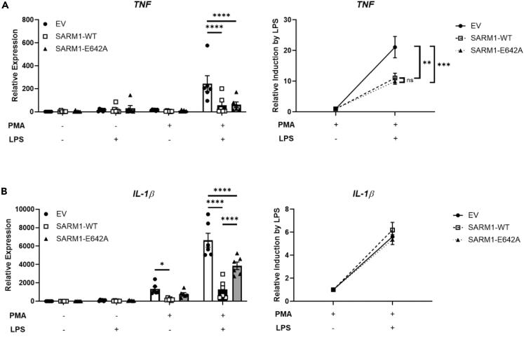 https://cdn.ncbi.nlm.nih.gov/pmc/blobs/ad02/11145347/c41da77290a3/gr3.jpg