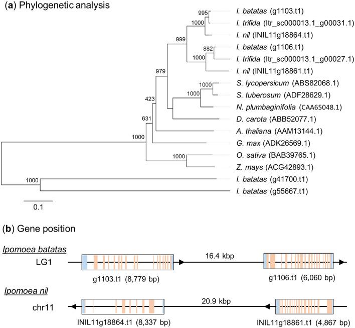 https://cdn.ncbi.nlm.nih.gov/pmc/blobs/ad03/7693279/2059157e0434/41598_2020_77293_Fig6_HTML.jpg