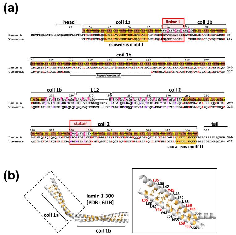 https://cdn.ncbi.nlm.nih.gov/pmc/blobs/ad04/7824274/ce27a2cd6e57/cells-10-00055-g001.jpg